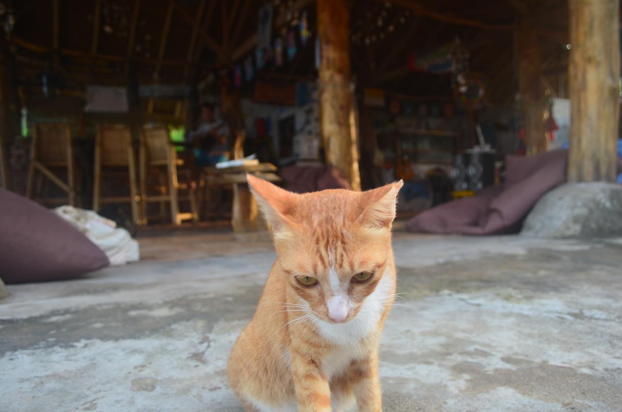 Gili Meno Eco Hostel Zewnętrze zdjęcie